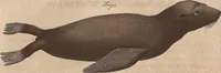 Picture 85 of 155 from (Band 11) (1824), leaf 181