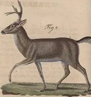 Picture 108 of 155 from (Band 11) (1824), leaf 212