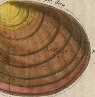 Picture 125 of 155 from (Band 11) (1824), leaf 245