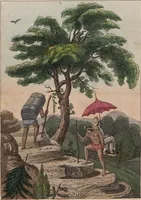 Picture 129 of 155 from (Band 11) (1824), leaf 251