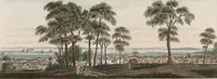 Picture 152 of 155 from (Band 11) (1824), leaf 291