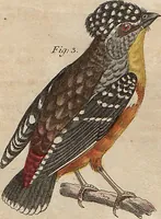 Picture 3 of 155 from (Band 11) (1824), leaf 3
