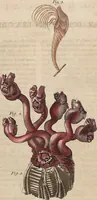 Picture 15 of 155 from (Band 11) (1824), leaf 34