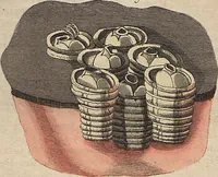Picture 17 of 155 from (Band 11) (1824), leaf 34