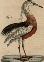 Picture 26 of 155 from (Band 11) (1824), leaf 49