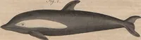 Picture 32 of 155 from (Band 11) (1824), leaf 64