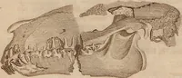 Picture 47 of 155 from (Band 11) (1824), leaf 91