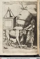 Picture 14 of 81 from Le Imagini De I Dei De Gli Antichi Nelle Qvali Si Contengono gl'Idoli, Riti, ceremonie, & altre cose appartenenti alla Religione de gli Antichi (1571), leaf 104