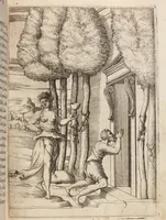 Picture 11 of 81 from Le Imagini De I Dei De Gli Antichi Nelle Qvali Si Contengono gl'Idoli, Riti, ceremonie, & altre cose appartenenti alla Religione de gli Antichi (1571), leaf 89