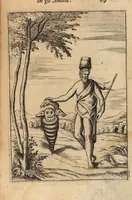 Picture 11 of 108 from Le imagini de i dei degli antichi nelle quali si contengono gl'idoli, i riti, le cerimonie, et altre cose appartenenti alla religione degli antichi ; con la loro espositione ; et in questa ultima impressione non solamente ridotte in forma più commoda, ma arricchite ancora di molte postille, et ... di più di 40 figure in rame … (1603), leaf 113