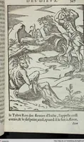 Picture 29 of 65 from Les images des dievx: contenant levrs pourtraits, coustumes & ceremonies de la religion des payens (1624), leaf 367