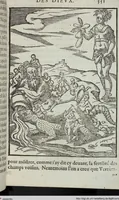 Picture 30 of 65 from Les images des dievx: contenant levrs pourtraits, coustumes & ceremonies de la religion des payens (1624), leaf 371