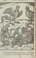 Picture 33 of 65 from Les images des dievx: contenant levrs pourtraits, coustumes & ceremonies de la religion des payens (1624), leaf 404