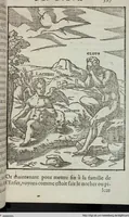 Picture 36 of 65 from Les images des dievx: contenant levrs pourtraits, coustumes & ceremonies de la religion des payens (1624), leaf 417