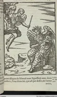 Picture 40 of 65 from Les images des dievx: contenant levrs pourtraits, coustumes & ceremonies de la religion des payens (1624), leaf 447