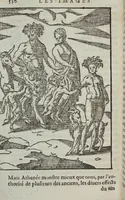 Picture 51 of 65 from Les images des dievx: contenant levrs pourtraits, coustumes & ceremonies de la religion des payens (1624), leaf 546