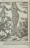 Picture 53 of 65 from Les images des dievx: contenant levrs pourtraits, coustumes & ceremonies de la religion des payens (1624), leaf 566