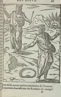 Picture 5 of 65 from Les images des dievx: contenant levrs pourtraits, coustumes & ceremonies de la religion des payens (1624), leaf 69