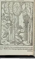 Picture 8 of 65 from Les images des dievx: contenant levrs pourtraits, coustumes & ceremonies de la religion des payens (1624), leaf 84