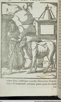 Picture 9 of 65 from Les images des dievx: contenant levrs pourtraits, coustumes & ceremonies de la religion des payens (1624), leaf 98