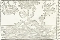 Picture 118 of 189 from Seconda Novissima Editione Delle Imagini De Gli Dei Delli Antichi Di Vicenzo Cartari Reggiano (1626), leaf 532