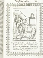 An illustration from Seconda Novissima Editione Delle Imagini De Gli Dei Delli Antichi Di Vicenzo Cartari Reggiano (1626)