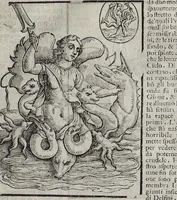 Picture 58 of 204 from Imagini Delli Dei De Gl'Antichi Di Vincenzo Cartari Reggiano: Ridotte da capo à piedi alle loro reali, & non più per l'adietro osseruate simiglianze. Cauate da' Marmi, Bronzi, Medaglie, Gioie, & altre memorie antiche; con esquisito studio, & particolare diligenza Da Lorenzo Pignoria Padoano. Aggionteui le Annotationi del medesimo sopra tutta l'opera ... Con le Allegorie sopra le Imagini di Cesare Malfatti Padoano, migliorate, & accresciute nouamente. Et vn Catalogo di cento più famosi dei della Gentilità. Con l'aggiunta d'vn'altro Catalogo de gl'Autori Antichi, & Moderni ... (1674), leaf 153