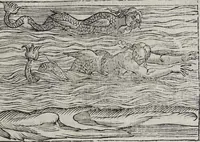 Picture 60 of 204 from Imagini Delli Dei De Gl'Antichi Di Vincenzo Cartari Reggiano: Ridotte da capo à piedi alle loro reali, & non più per l'adietro osseruate simiglianze. Cauate da' Marmi, Bronzi, Medaglie, Gioie, & altre memorie antiche; con esquisito studio, & particolare diligenza Da Lorenzo Pignoria Padoano. Aggionteui le Annotationi del medesimo sopra tutta l'opera ... Con le Allegorie sopra le Imagini di Cesare Malfatti Padoano, migliorate, & accresciute nouamente. Et vn Catalogo di cento più famosi dei della Gentilità. Con l'aggiunta d'vn'altro Catalogo de gl'Autori Antichi, & Moderni ... (1674), leaf 157