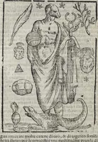 Picture 80 of 204 from Imagini Delli Dei De Gl'Antichi Di Vincenzo Cartari Reggiano: Ridotte da capo à piedi alle loro reali, & non più per l'adietro osseruate simiglianze. Cauate da' Marmi, Bronzi, Medaglie, Gioie, & altre memorie antiche; con esquisito studio, & particolare diligenza Da Lorenzo Pignoria Padoano. Aggionteui le Annotationi del medesimo sopra tutta l'opera ... Con le Allegorie sopra le Imagini di Cesare Malfatti Padoano, migliorate, & accresciute nouamente. Et vn Catalogo di cento più famosi dei della Gentilità. Con l'aggiunta d'vn'altro Catalogo de gl'Autori Antichi, & Moderni ... (1674), leaf 196