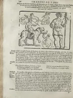 Picture 100 of 204 from Imagini Delli Dei De Gl'Antichi Di Vincenzo Cartari Reggiano: Ridotte da capo à piedi alle loro reali, & non più per l'adietro osseruate simiglianze. Cauate da' Marmi, Bronzi, Medaglie, Gioie, & altre memorie antiche; con esquisito studio, & particolare diligenza Da Lorenzo Pignoria Padoano. Aggionteui le Annotationi del medesimo sopra tutta l'opera ... Con le Allegorie sopra le Imagini di Cesare Malfatti Padoano, migliorate, & accresciute nouamente. Et vn Catalogo di cento più famosi dei della Gentilità. Con l'aggiunta d'vn'altro Catalogo de gl'Autori Antichi, & Moderni ... (1674), leaf 236