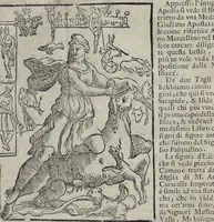 Picture 128 of 204 from Imagini Delli Dei De Gl'Antichi Di Vincenzo Cartari Reggiano: Ridotte da capo à piedi alle loro reali, & non più per l'adietro osseruate simiglianze. Cauate da' Marmi, Bronzi, Medaglie, Gioie, & altre memorie antiche; con esquisito studio, & particolare diligenza Da Lorenzo Pignoria Padoano. Aggionteui le Annotationi del medesimo sopra tutta l'opera ... Con le Allegorie sopra le Imagini di Cesare Malfatti Padoano, migliorate, & accresciute nouamente. Et vn Catalogo di cento più famosi dei della Gentilità. Con l'aggiunta d'vn'altro Catalogo de gl'Autori Antichi, & Moderni ... (1674), leaf 303