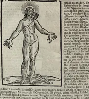 An illustration from Imagini Delli Dei De Gl'Antichi Di Vincenzo Cartari Reggiano: Ridotte da capo à piedi alle loro reali, & non più per l'adietro osseruate simiglianze. Cauate da' Marmi, Bronzi, Medaglie, Gioie, & altre memorie antiche; con esquisito studio, & particolare diligenza Da Lorenzo Pignoria Padoano. Aggionteui le Annotationi del medesimo sopra tutta l'opera ... Con le Allegorie sopra le Imagini di Cesare Malfatti Padoano, migliorate, & accresciute nouamente. Et vn Catalogo di cento più famosi dei della Gentilità. Con l'aggiunta d'vn'altro Catalogo de gl'Autori Antichi, & Moderni ... (1674)