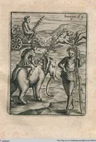 Picture 69 of 89 from Vincentii Chartarii Rhegiensis Neu-eröffneter Götzen-Tempel: Darinnen Durch erklärte Darstellung deroselben erdichtete Gestalt/ die bey dem Heydnischen Götter-Dienst/ vor alten Zeiten gewöhnliche Verehrung/ Anbettung/ und herrliche Kirchen-Gepräng ; Vorgestellet Zu höchst benöthigtem Dienst und augenscheinlichen Vortheil derjenigen/ welche die Geschichte so wol als Gedichte der alten bewehrten Scribenten/ nicht weniger mit Nutzen lesen/ als auch gründlich verstehen wollen (1692), leaf 148