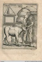 Picture 9 of 89 from Vincentii Chartarii Rhegiensis Neu-eröffneter Götzen-Tempel: Darinnen Durch erklärte Darstellung deroselben erdichtete Gestalt/ die bey dem Heydnischen Götter-Dienst/ vor alten Zeiten gewöhnliche Verehrung/ Anbettung/ und herrliche Kirchen-Gepräng ; Vorgestellet Zu höchst benöthigtem Dienst und augenscheinlichen Vortheil derjenigen/ welche die Geschichte so wol als Gedichte der alten bewehrten Scribenten/ nicht weniger mit Nutzen lesen/ als auch gründlich verstehen wollen (1692), leaf 28