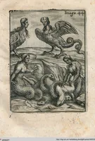 Picture 44 of 89 from Vincentii Chartarii Rhegiensis Neu-eröffneter Götzen-Tempel: Darinnen Durch erklärte Darstellung deroselben erdichtete Gestalt/ die bey dem Heydnischen Götter-Dienst/ vor alten Zeiten gewöhnliche Verehrung/ Anbettung/ und herrliche Kirchen-Gepräng ; Vorgestellet Zu höchst benöthigtem Dienst und augenscheinlichen Vortheil derjenigen/ welche die Geschichte so wol als Gedichte der alten bewehrten Scribenten/ nicht weniger mit Nutzen lesen/ als auch gründlich verstehen wollen (1692), leaf 99