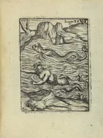 Picture 37 of 86 from Theatrum Ethnico Idololatricum Politico-Historicum Ethnicorum Idololatrias, simulacra, Templa, sacrificia & Deos: Illorum Origines, Ritus, & Caeremonias ... (1699), leaf 289