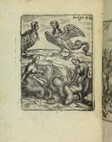 Picture 43 of 86 from Theatrum Ethnico Idololatricum Politico-Historicum Ethnicorum Idololatrias, simulacra, Templa, sacrificia & Deos: Illorum Origines, Ritus, & Caeremonias ... (1699), leaf 295