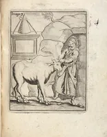 Picture 7 of 78 from Deliciae Cranachianæ, Oder Vlrich von Cranachs/ weiland Obristen und General-Ingenieurs, Rare und Kunstreiche Fried- und Krieges-Inventiones: bestehende in XI. Kupfferstiche. Anitzo Allen Liebhabern der Artollerey zu sonderbaren Gefallen/ auff vieler Anhalten offentlich ans Licht gebracht (1672), leaf 219
