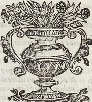 Picture 2 of 43 from (Band 1) (1644), leaf 20