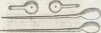 An illustration from (Band 1) (1644)
