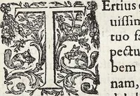 An illustration from (Band 1) (1644)