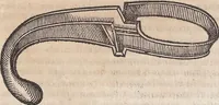 An illustration from (Band 1) (1644)