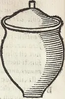 An illustration from (Band 1) (1644)