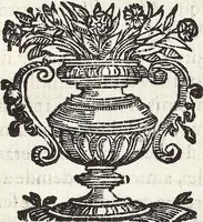 Picture 40 of 43 from (Band 1) (1644), leaf 316