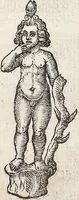 Picture 7 of 43 from (Band 1) (1644), leaf 82