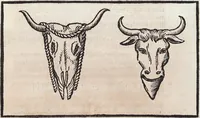 Picture 8 of 43 from (Band 1) (1644), leaf 86