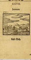 Picture 5 of 17 from Joh. Amos Comenii Orbis Sensualium Pictus: Hoc est: Omnium fundamentalium in mondo rerum, & in vita actionum, Pictura & Nomenclatura (1698), leaf 60
