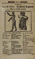 An illustration from Joh. Amos Comenii Orbis Sensualium Pictus Trilinguis: Hoc est: Omnium fundamentalium in mundo rerum, & in vita actionum, Pictura & Nomenclatura Latina, Germanica & Hungarica, Cum Titulorum juxta atque Vocabulorum Indice (1708)