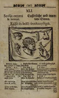 An illustration from Joh. Amos Comenii Orbis Sensualium Pictus Trilinguis: Hoc est: Omnium fundamentalium in mundo rerum, & in vita actionum, Pictura & Nomenclatura Latina, Germanica & Hungarica, Cum Titulorum juxta atque Vocabulorum Indice (1708)
