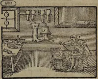 An illustration from Joh. Amos Comenii Orbis Sensualium Pictus Trilinguis: Hoc est: Omnium fundamentalium in mundo rerum, & in vita actionum, Pictura & Nomenclatura Latina, Germanica & Hungarica, Cum Titulorum juxta atque Vocabulorum Indice (1708)